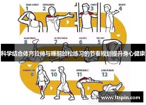 科学结合体育拉伸与睡前放松练习的节奏规划提升身心健康